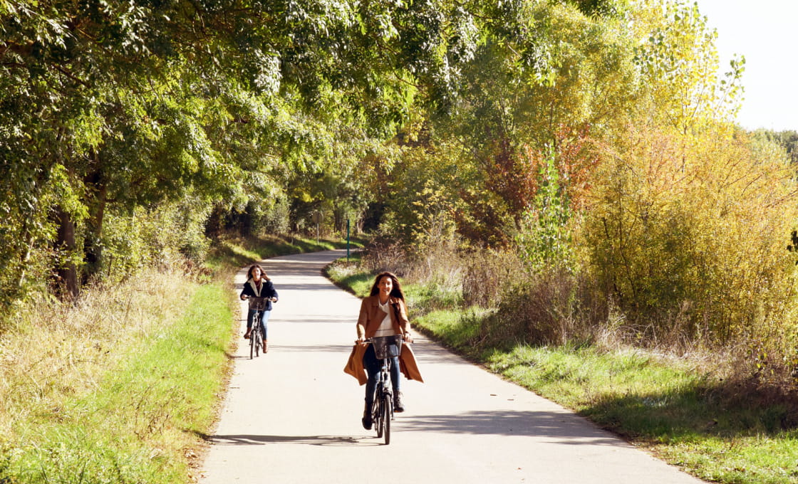 Automne à vélo
