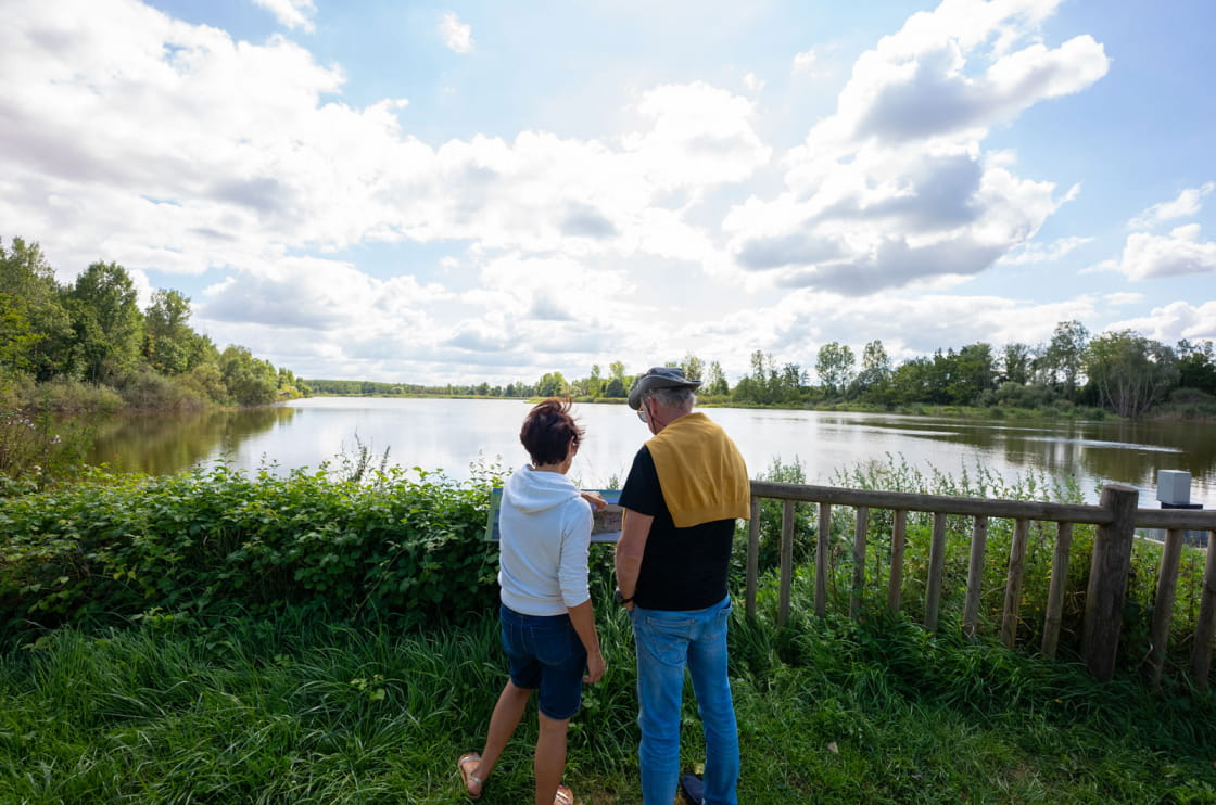 Observation des oiseaux à l'étang de Pontoux
