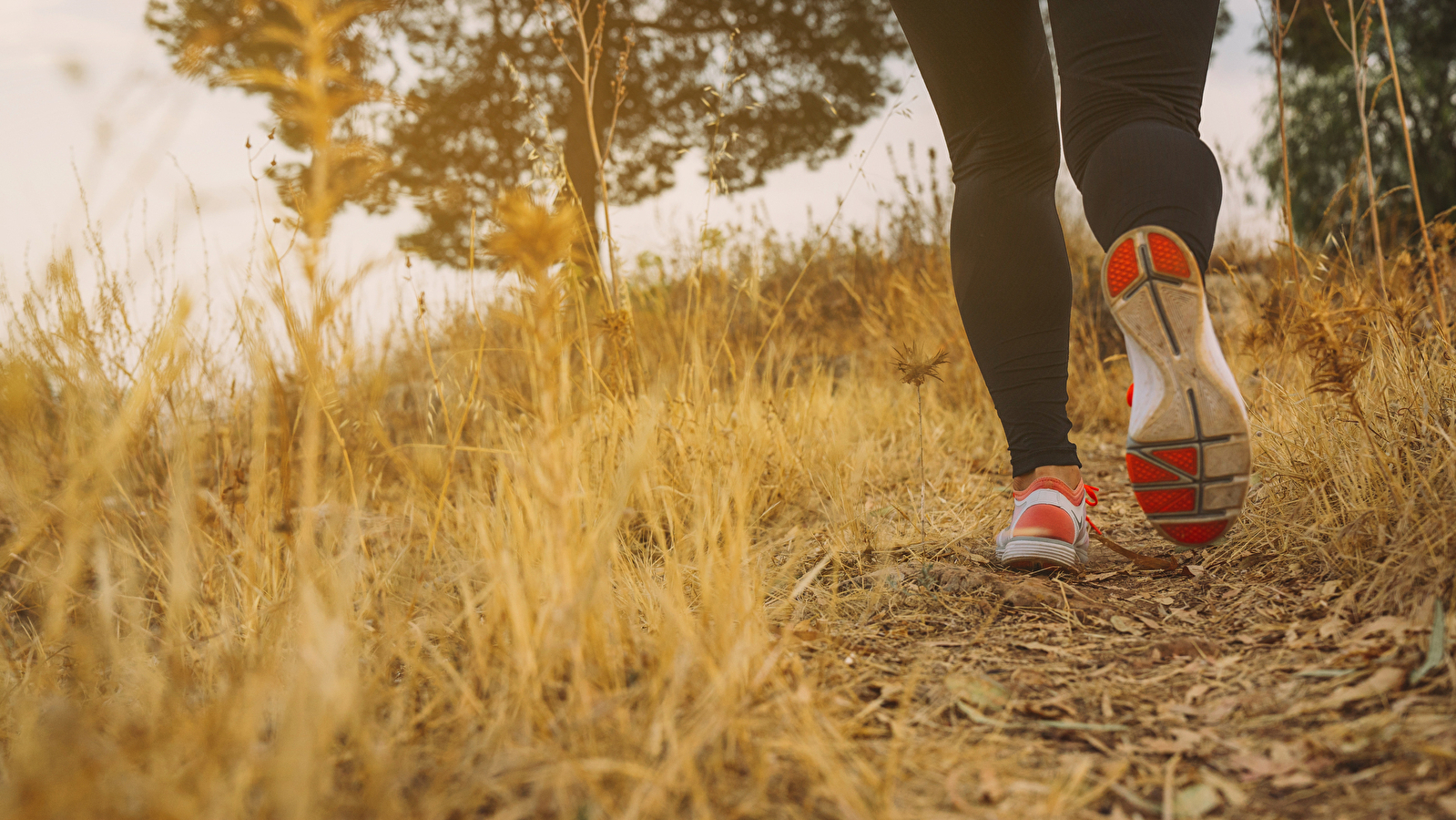 Marche solidaire et soirée choucroute - Téléthon