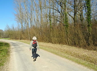 Sentier des bois communaux - TOUTENANT