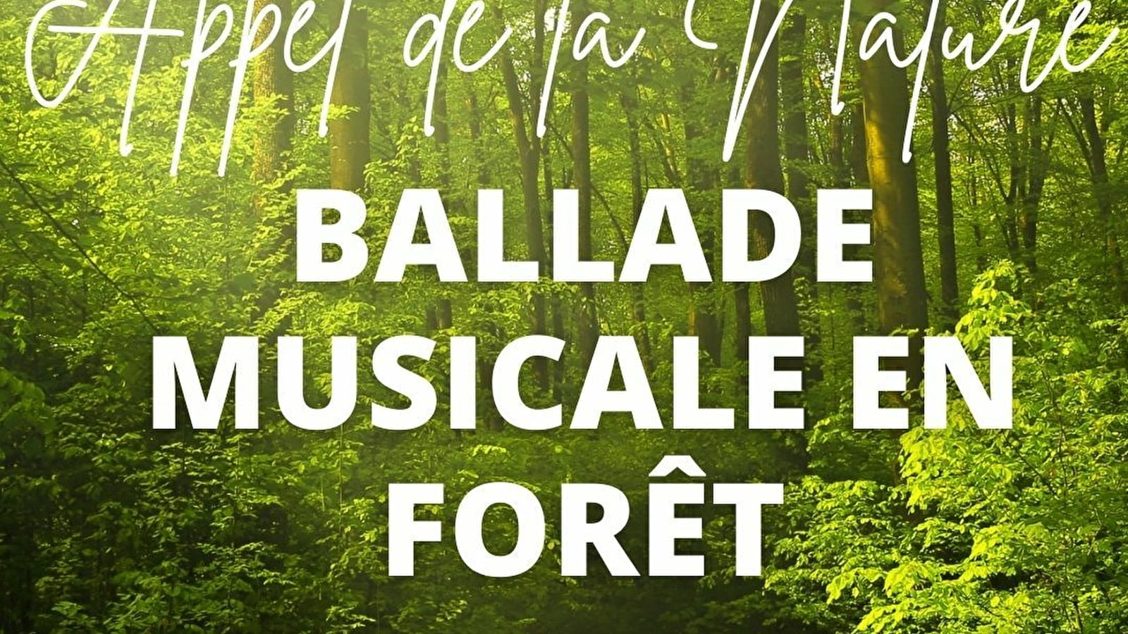 Balade musicale en forêt
