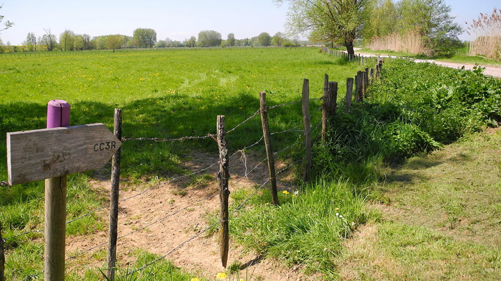 Sentier des hérons