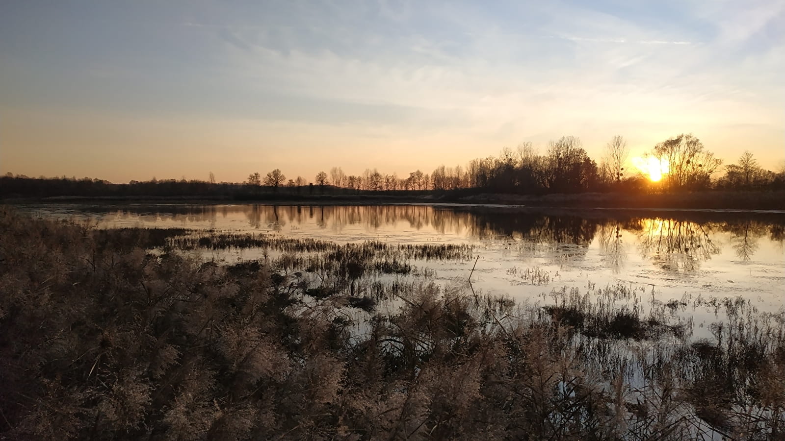 Les oiseaux nocturnes de l'étang de Pontoux