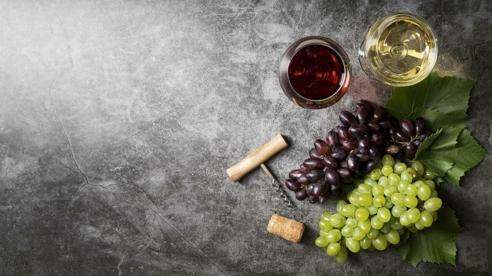 Instant découverte : dégustation et vente des vins d'ici et d'ailleurs