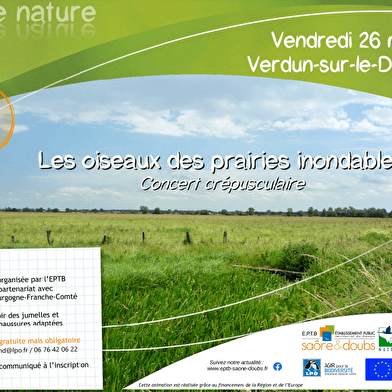 Observation d'oiseaux : concert crépusculaire