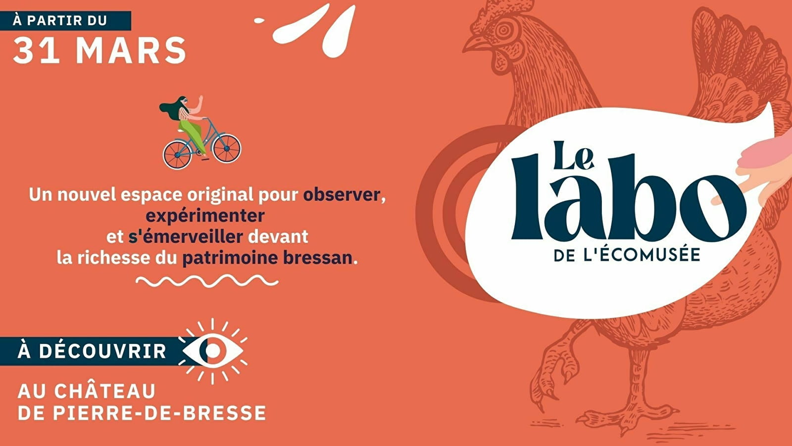 Exposition : Le Labo de l'Écomusée
