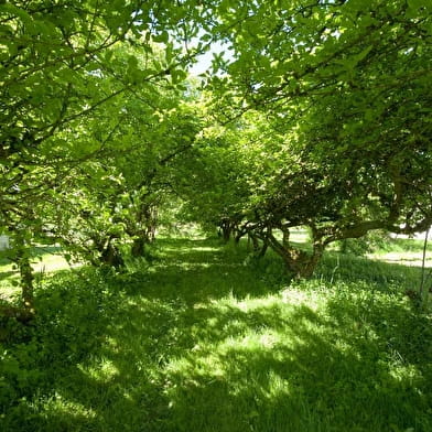 La Vieille Chasse 