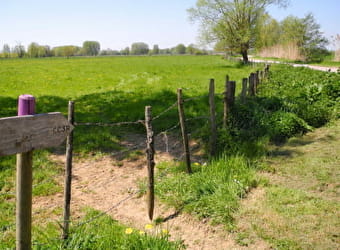 Sentier des hérons - PALLEAU