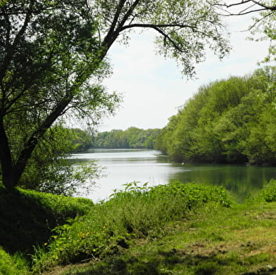 Le sentier des silures