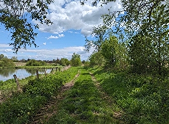 Sentier de la Génevrière - SAINT-MARTIN-EN-BRESSE