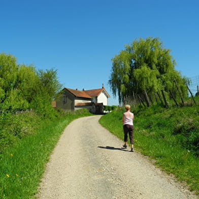 Le sentier des silures