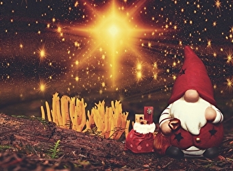 Marché de noël - SAINT-MARTIN-EN-BRESSE